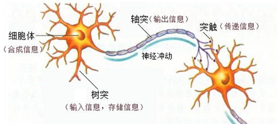 技术图片